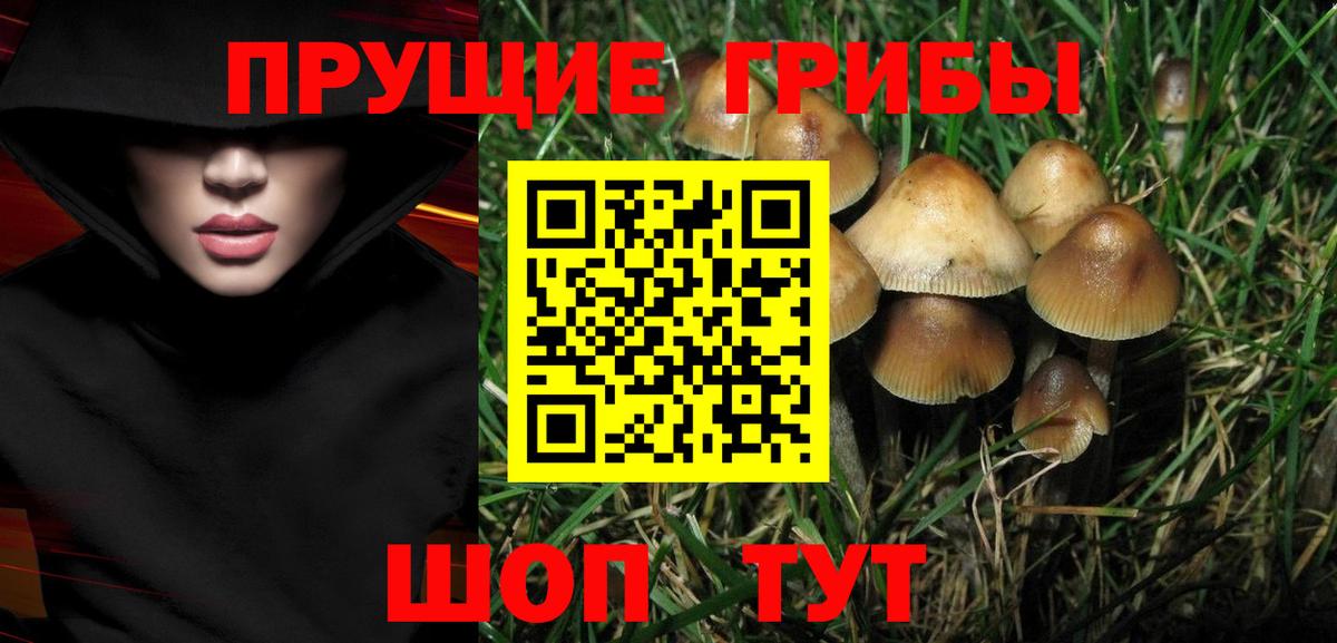Псилоцибиновые грибы мухоморы  Псилоцибиновые грибы мицелий  Камышлов  Вход с VPN 