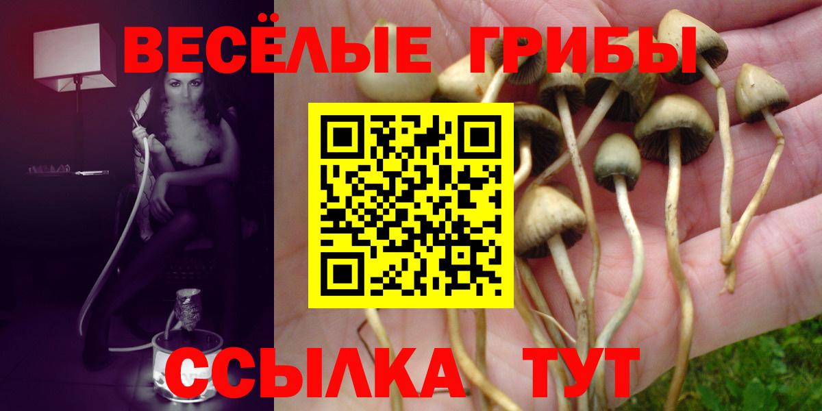 Псилоцибиновые грибы ЛСД Камышлов