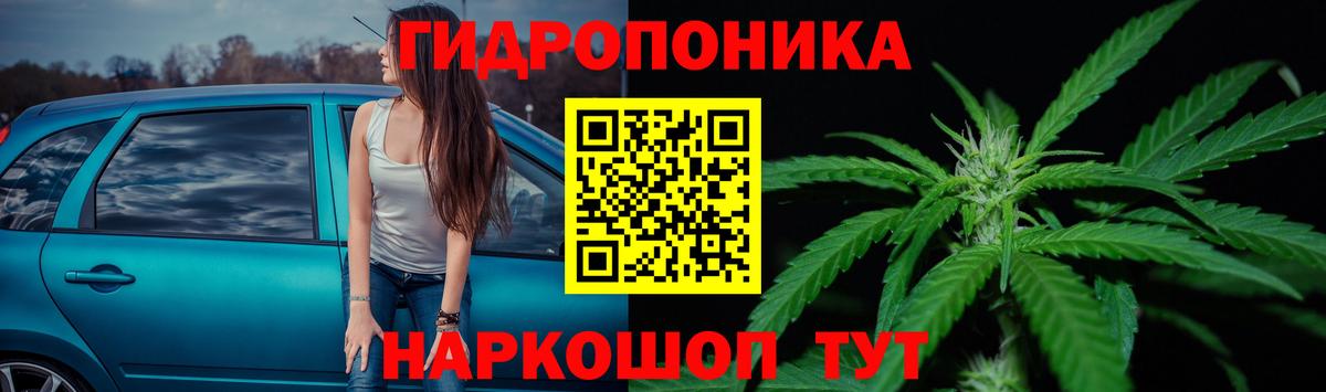Канабис марихуана Камышлов